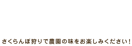 濃厚な味わいの天然無着色さくらんぼ さくらんぼ狩りで農園の味をお楽しみください！